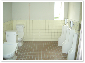 �g�C���u�[�X�i�j���p�j �{�H�O